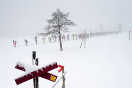 Vasalauf - Foto Swíx Ski Classic